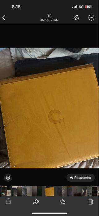 Album Cartas Pokémon Arceus UltraPro 480