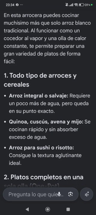 Olla arrocera cocina