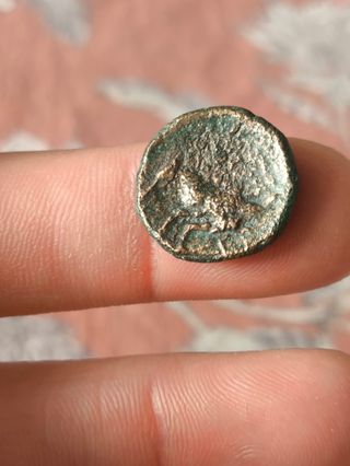 Moneda Griega Pisidia Termesos