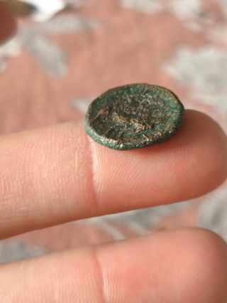 Moneda Griega Pisidia Termesos