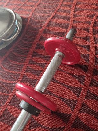 mancuerna Salter de 3 kg total