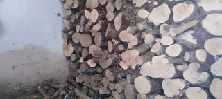 Leña de olivo seca - tacos  Pregunta!