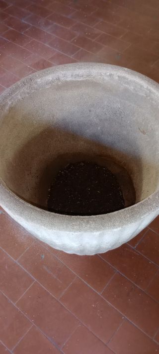 Vaporiera Girmi PC52 - La Vaporiera