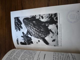 Objetivos y didáctica de la educación plástica