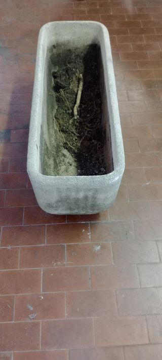 Vaporiera Girmi PC52 - La Vaporiera