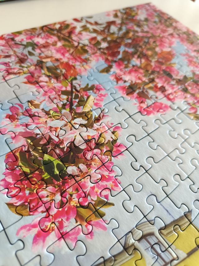 Puzzle 1000 piezas