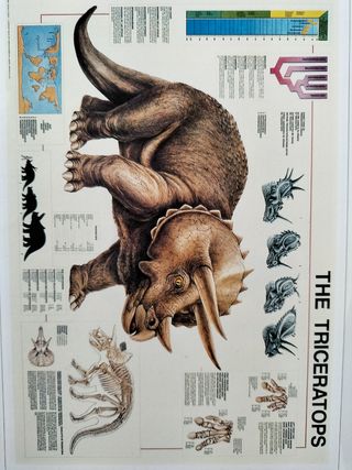 Stampa Triceratops: Poster dinosauro