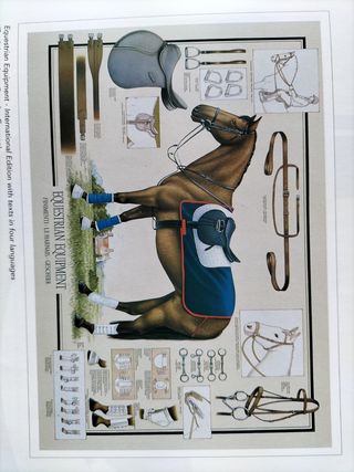 2 Stampe Cavalli & Equipaggiamento