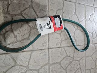 Cinghia Inn Rotoretti R686