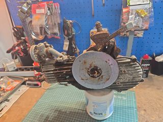 Motor mosquito