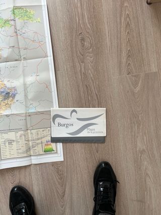 Mapa de la provincia de Burgos