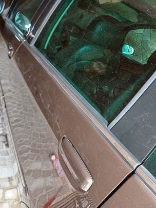 Raschiavetro lancia musa