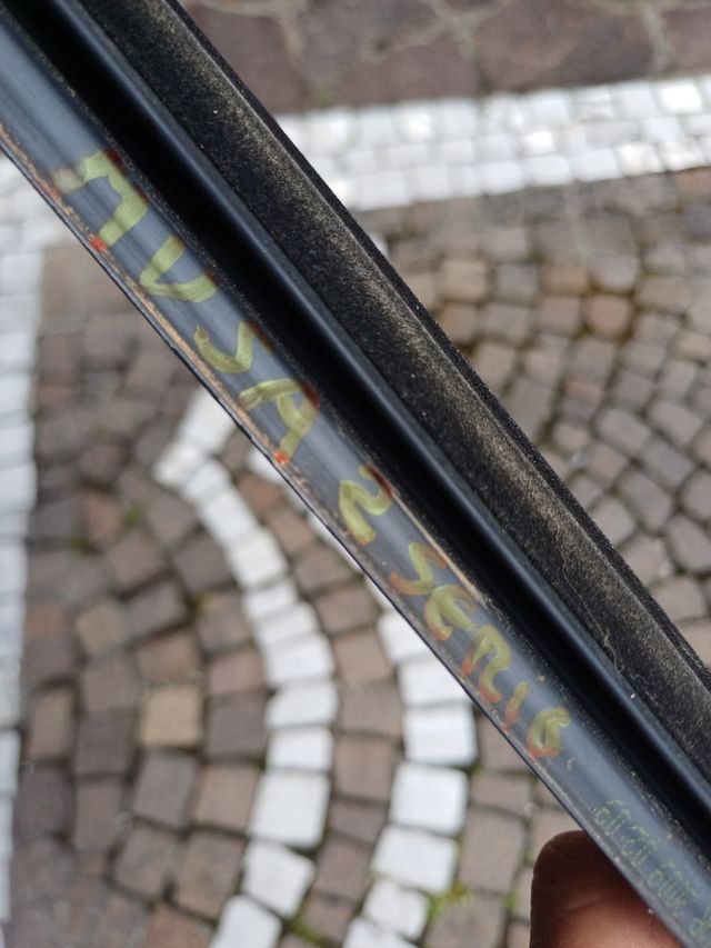 Raschiavetro lancia musa