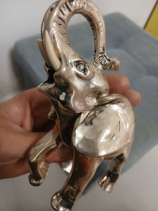 Elefante Argento Collezione