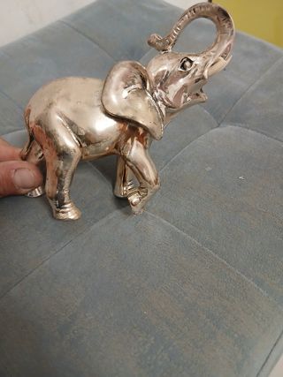 Elefante Argento Collezione