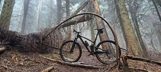 Bicicleta de Carbono 29" FOCUS O1E