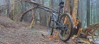 Bicicleta de Carbono 29" FOCUS O1E