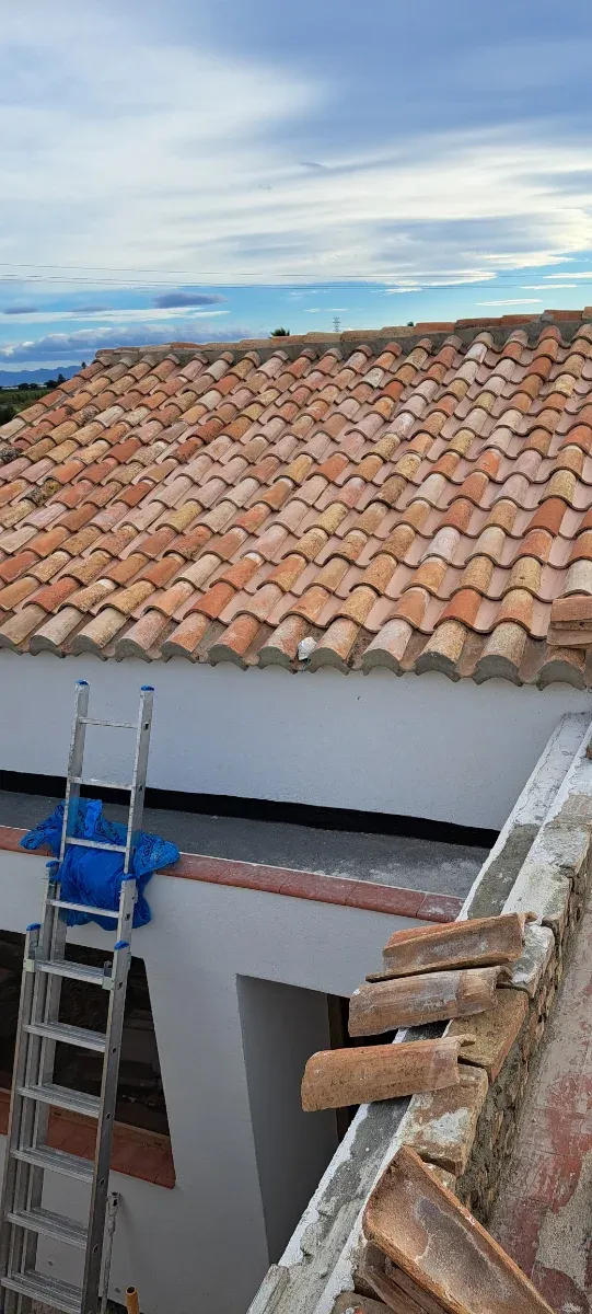 Reformas castro forma 
