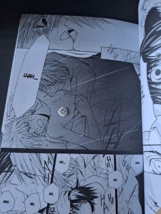 2 Mangas junjou romantica tomos 2 y 5