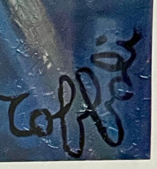 Stampe Louis Toffoli