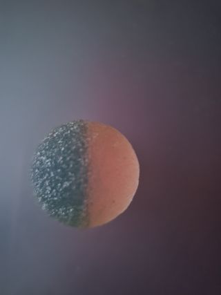 Pallina decorativa vintage