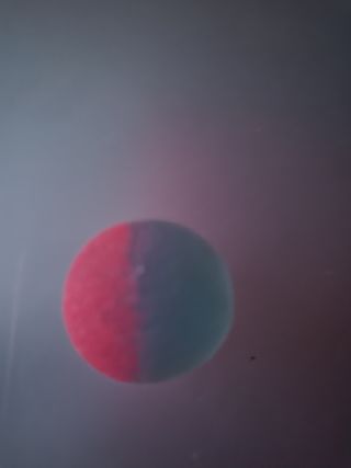 Pallina decorativa bicolore