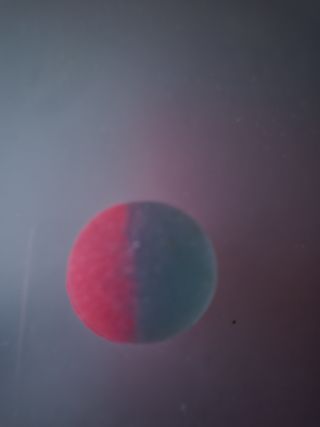 Pallina decorativa bicolore