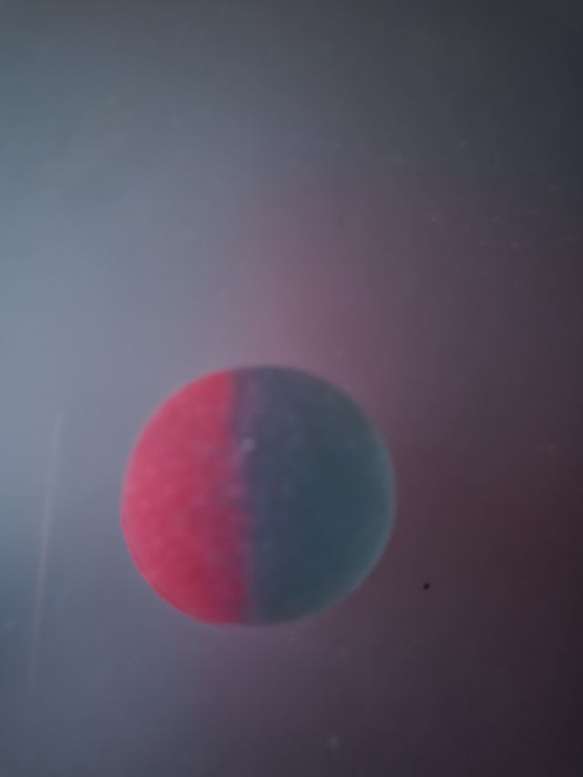 Pallina decorativa bicolore