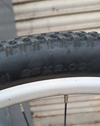 Bicicleta B-PRO M300