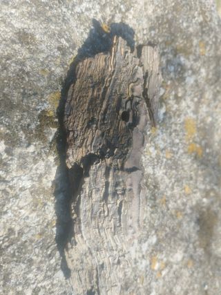 Maderas madera artesanía decoración arte