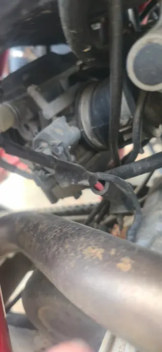 Despiece derbi mulhacen