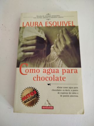 Como Agua Para Chocolate (Spanish Edition)