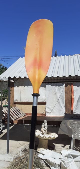 Kayak 