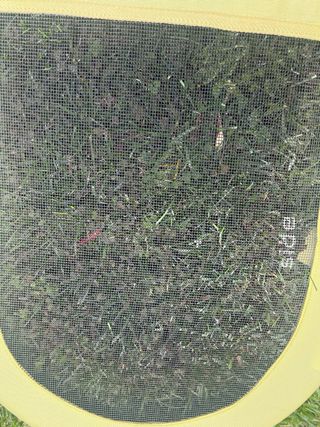 Baranda cama bebé BABYHOME