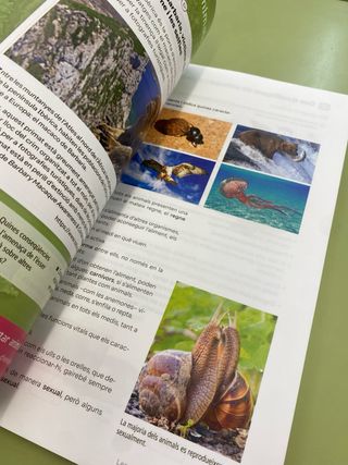 Biología i Geología. 1 Secundaria. Revola. Cruilla