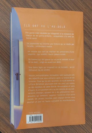 Ils Ont Vu l'au-delà