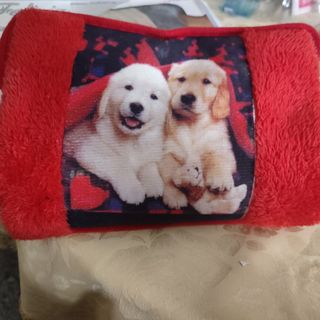 Scaldamani elettrico