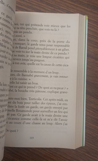 Le Chevalier au bouclier vert
