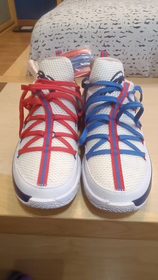 Zapatillas LeBron James XVII low