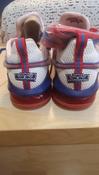 Zapatillas LeBron James XVII low