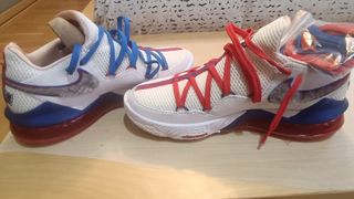 Zapatillas LeBron James XVII low