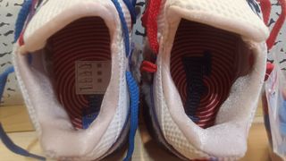 Zapatillas LeBron James XVII low