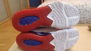 Zapatillas LeBron James XVII low