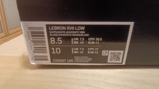 Zapatillas LeBron James XVII low