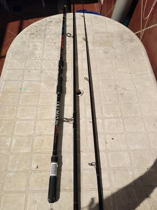 Pesca carfshin