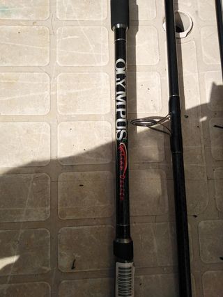 Pesca carfshin