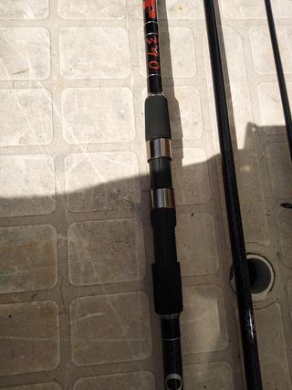 Pesca carfshin