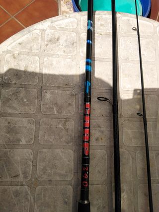 Pesca carfshin