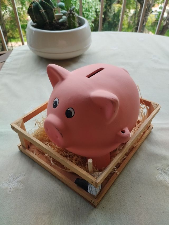 Hucha cerdito de barro