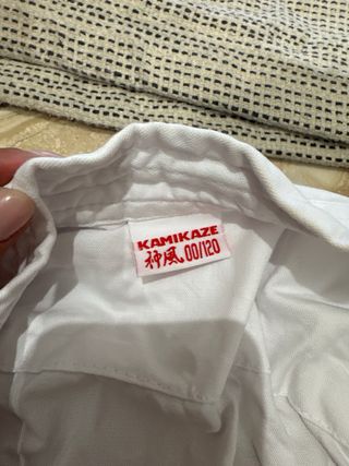 Karategi Kamikaze niño